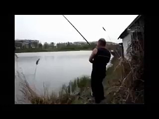 Yakaladığı balığı Kedi kapıp kaçıyor