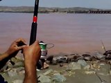 Pakistan sazan avı