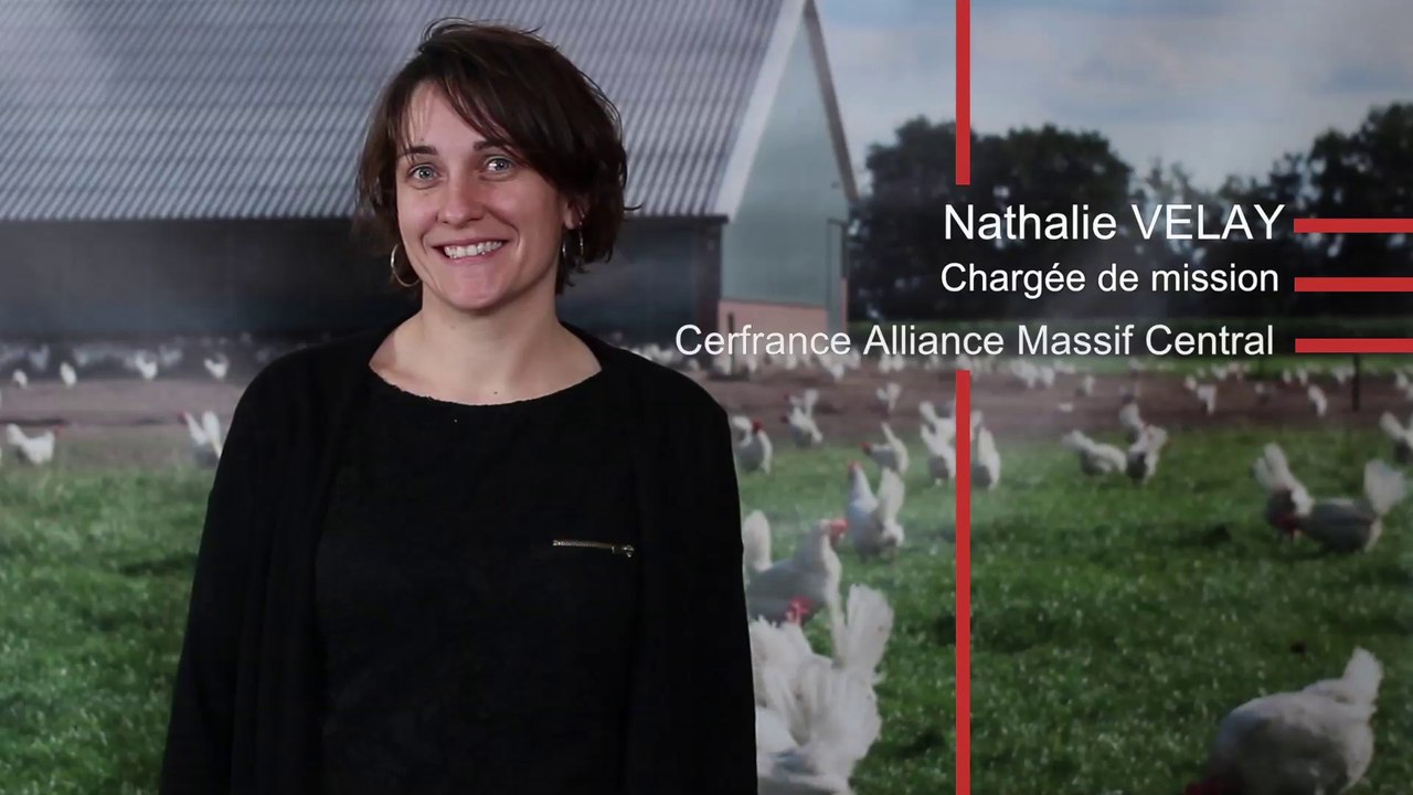 Les crises sanitaires par Nathalie Velay