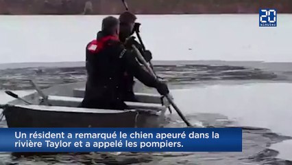 Les pompiers américains sauvent un chien tombé dans une rivière