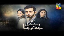 Zindagi Tujh Ko Jiya Episode 16 Promo HUM TV Drama 16 Mar 2016