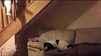 When mom leaves baby with dad Best Dad Ever top songs 2016 best songs new songs upcoming songs latest songs sad songs hindi songs bollywood songs punjabi songs movies songs trending songs mujra dance Hot songs