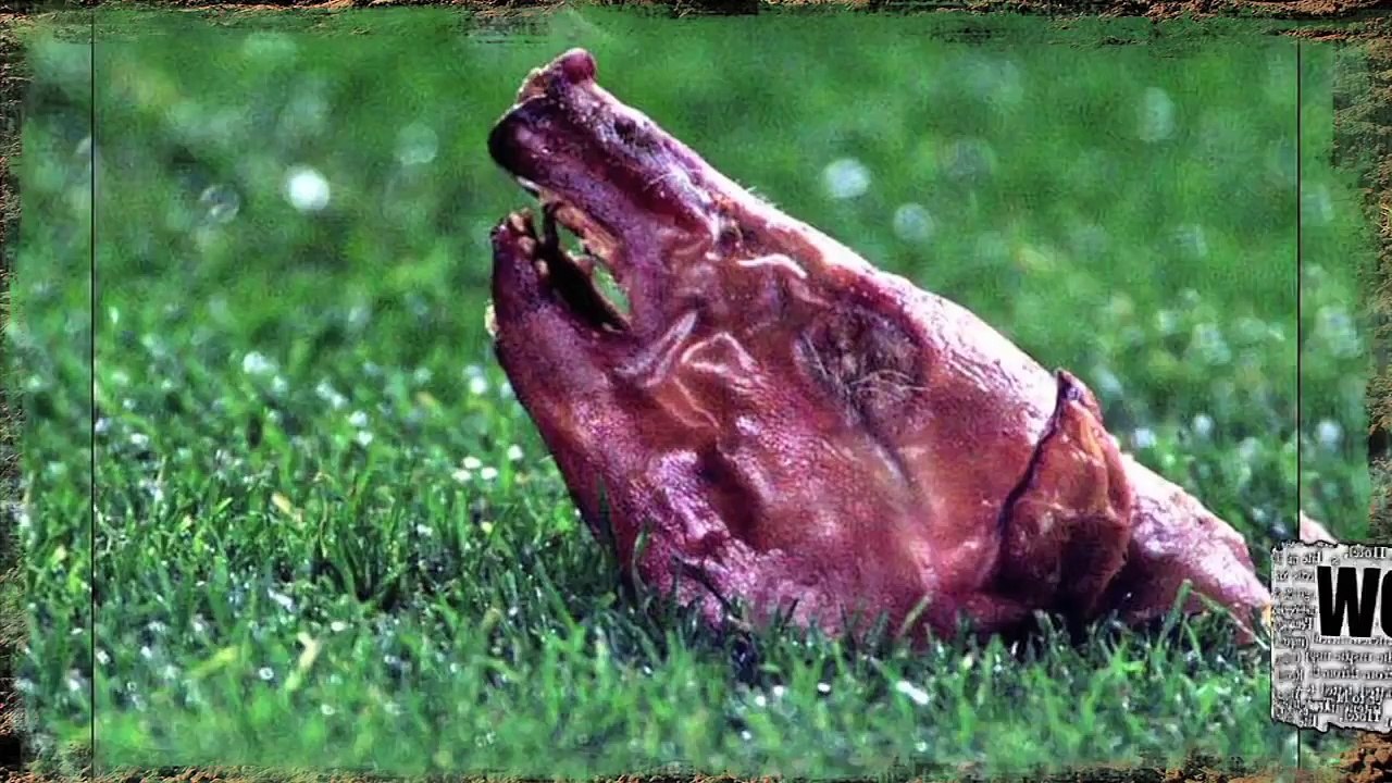 10 Most Shocking Moments In Football History