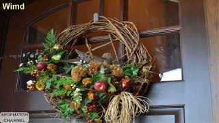30 Pictures of Lovely and interesting bird nests | Beautiful animal photo 2016 January