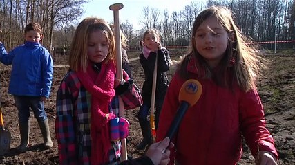 Scholieren steken de schop in de grond tijdens Boomfeestdag - RTV Noord