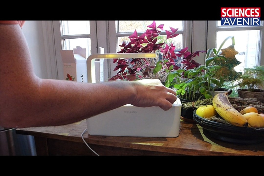 L'incubateur de tomates qui a séduit Kickstarter