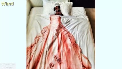 Dog on bed Pictures 2016 | Funny dog world photos | Dog pictures compilation