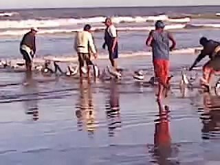 Portekiz Sahilinde Kefal Avı