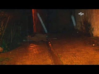 Beykoz'da orman işçisi sokak ortasında ölü bulundu