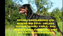 Urla emlak Urla'da köpek çiftliği oteli olur yer arıyorsanız satılık kiralık arsa mı arıyorsunuz Urla Kılınç Emlak