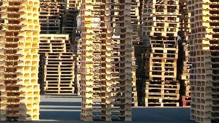 Vinkt u JA aan, of kiest u voor NEE? - RTV Noord