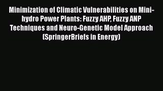PDF Minimization of Climatic Vulnerabilities on Mini-hydro Power Plants: Fuzzy AHP Fuzzy ANP
