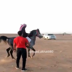 هذي هي الفروسية