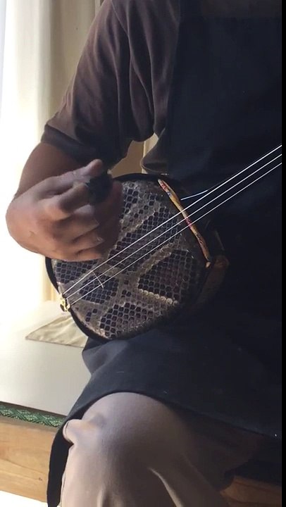 沖縄  三線  本張り(両面)本蛇皮一枚張り  真壁型  黒塗り  米須三線店43