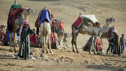 The Three 3 Week Diet Plan - How to Lose Weight in A Week