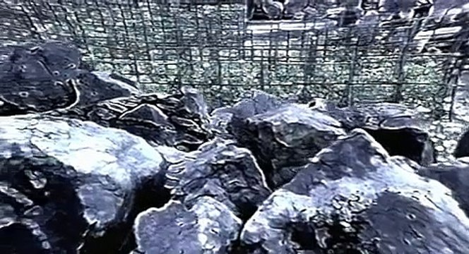 Reign of Fire (2002) - Trailer