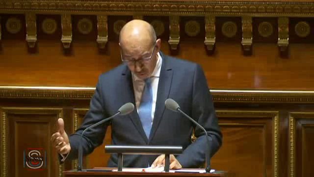 Harlem Désir - Débat préalable au Conseil européen du 17 et 18 mars 2016 - Sénat
