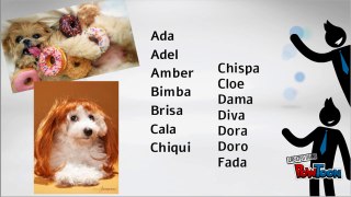 Nombres cortos para perros hembra
