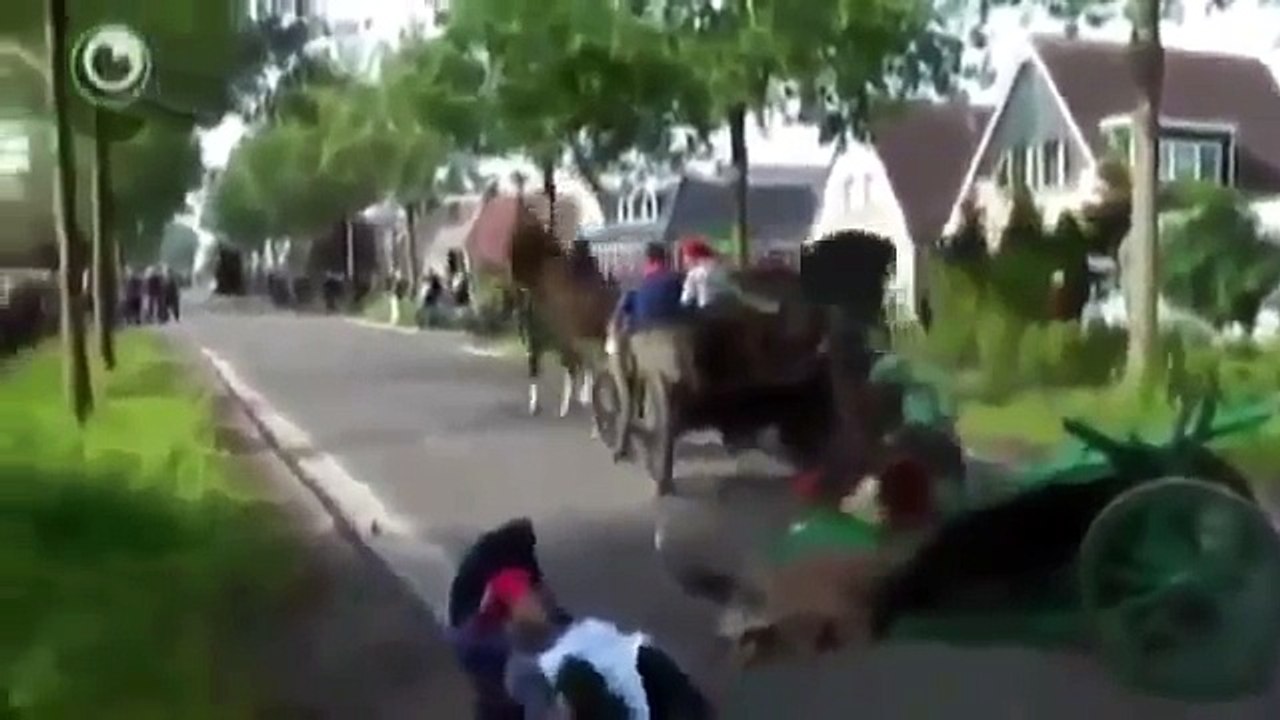 10 days Funny Moments  Try Not To Laugh - funny moments compilation