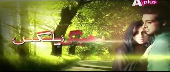 Bheegi-palkein-episode-17-A-plus