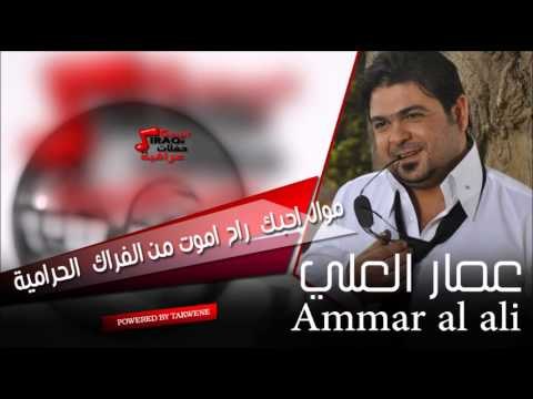 عمار العلي موال احبك راح اموت من الفراك الحرامية | اغاني عراقي