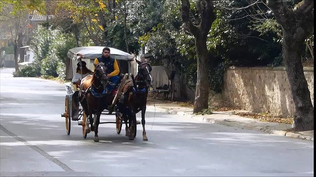 caléche iles aux princes