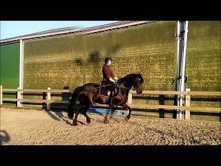 évolution Éline 2016