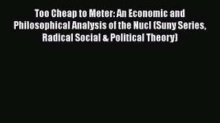 PDF Too Cheap to Meter: An Economic and Philosophical Analysis of the Nucl (Suny Series Radical