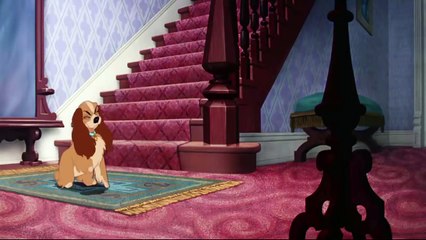 Lady and the Tramp - Jock and Trusty saves Tramp from the Dogcatcher HD