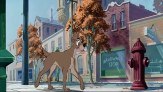 Lady and the Tramp - Tramp's Morning HD