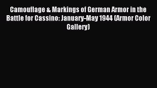 Download Camouflage & Markings of German Armor in the Battle for Cassino: January-May 1944