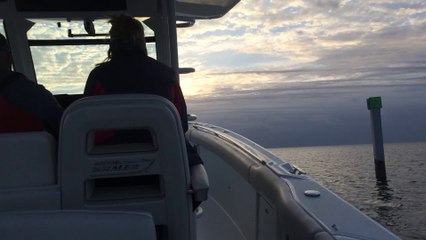 Fish Trial: Boston Whaler 330 Outrage