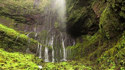 Worth 1000 Words Episode 1: Blood Tide