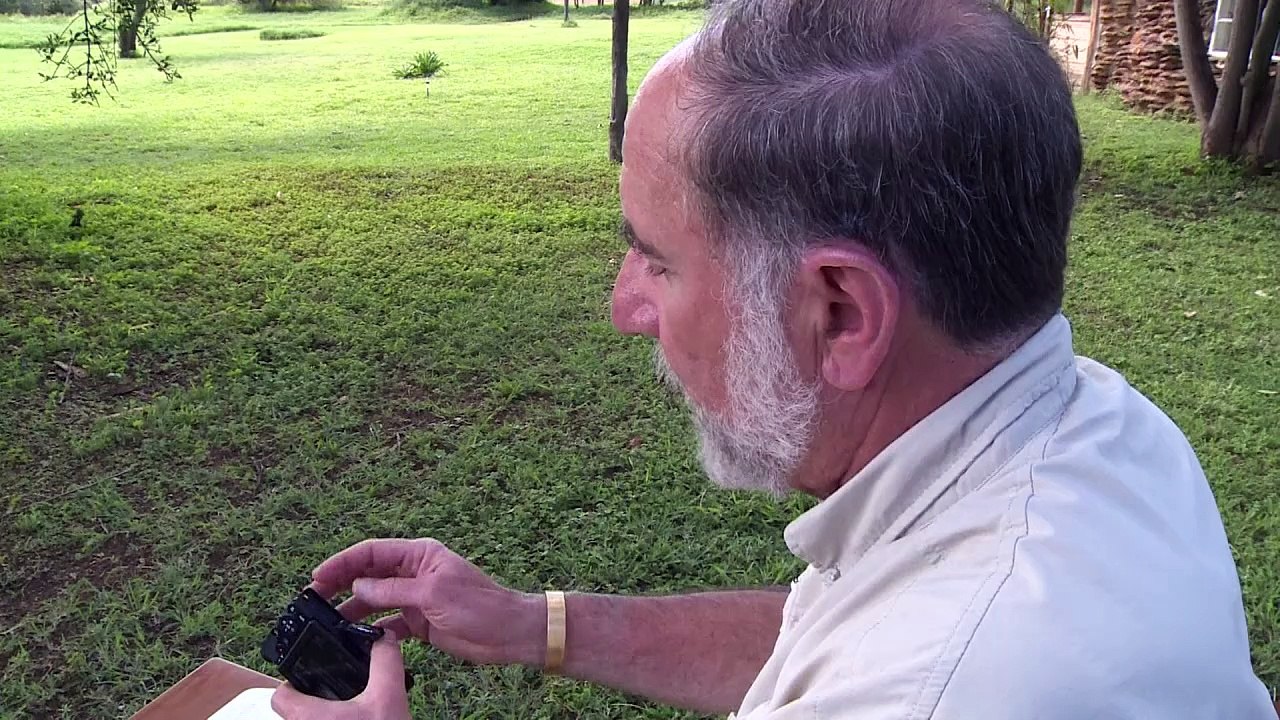 Zebras als lebende Strichcodes