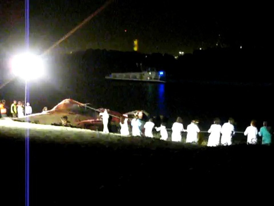 Walvis haven Antwerpen