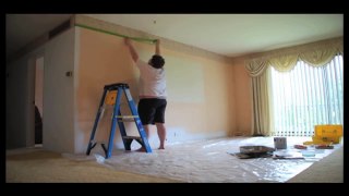 Painting Grandma Wall Time-lapse