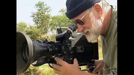 Nat Geo Wild Documentary 2015 | WILD LION IN AFRICA | Botswana Lion Brotherhood