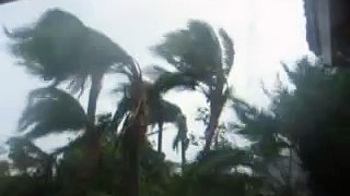 More Hurricane Wilma