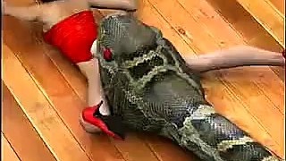 Giant snake eats woman - YouTube