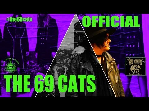 The 69 Cats Werewolves Of London (Official Video)