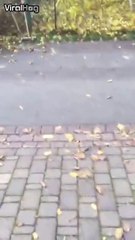 It was all going smoothly until it wasn't..