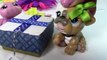 Fan Mail #12 Mystery Surprise Boxes LPS Littlest Pet Shop Toy Package Opening