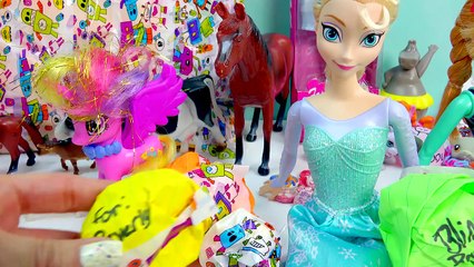 Mail Blind Bags Littlest Pet Shop MLP Toys with Frozen Queen Elsa & Princess