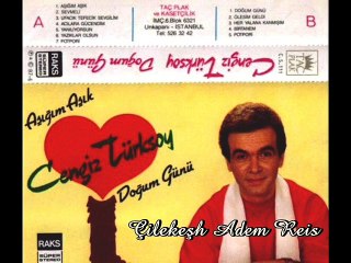 Cengiz Türksoy - Acılara Gücendim