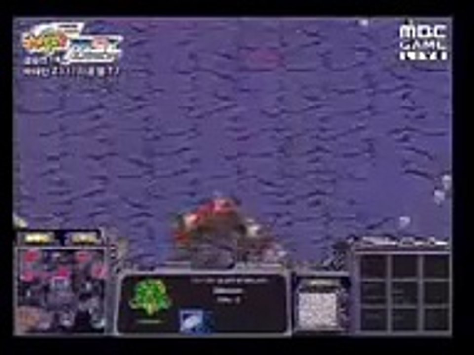 Plague!! Starcraft