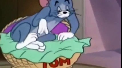 Tom and Jerry with his old friend the elephant high quality  Tom And Jerry Cartoons