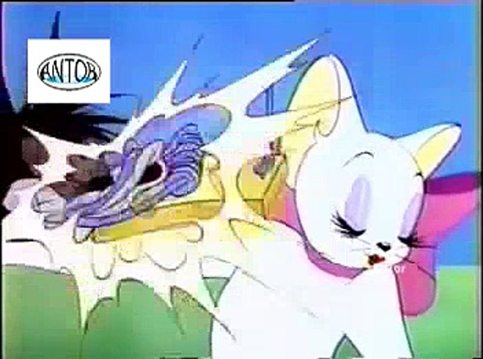 tom and jerry carton video bangla....  Tom And Jerry Cartoons