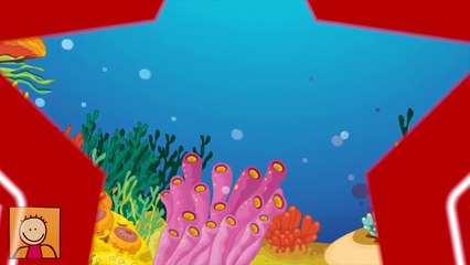 Kırmızı Balık - 3 Çocuk Şarkısı Bir Arada