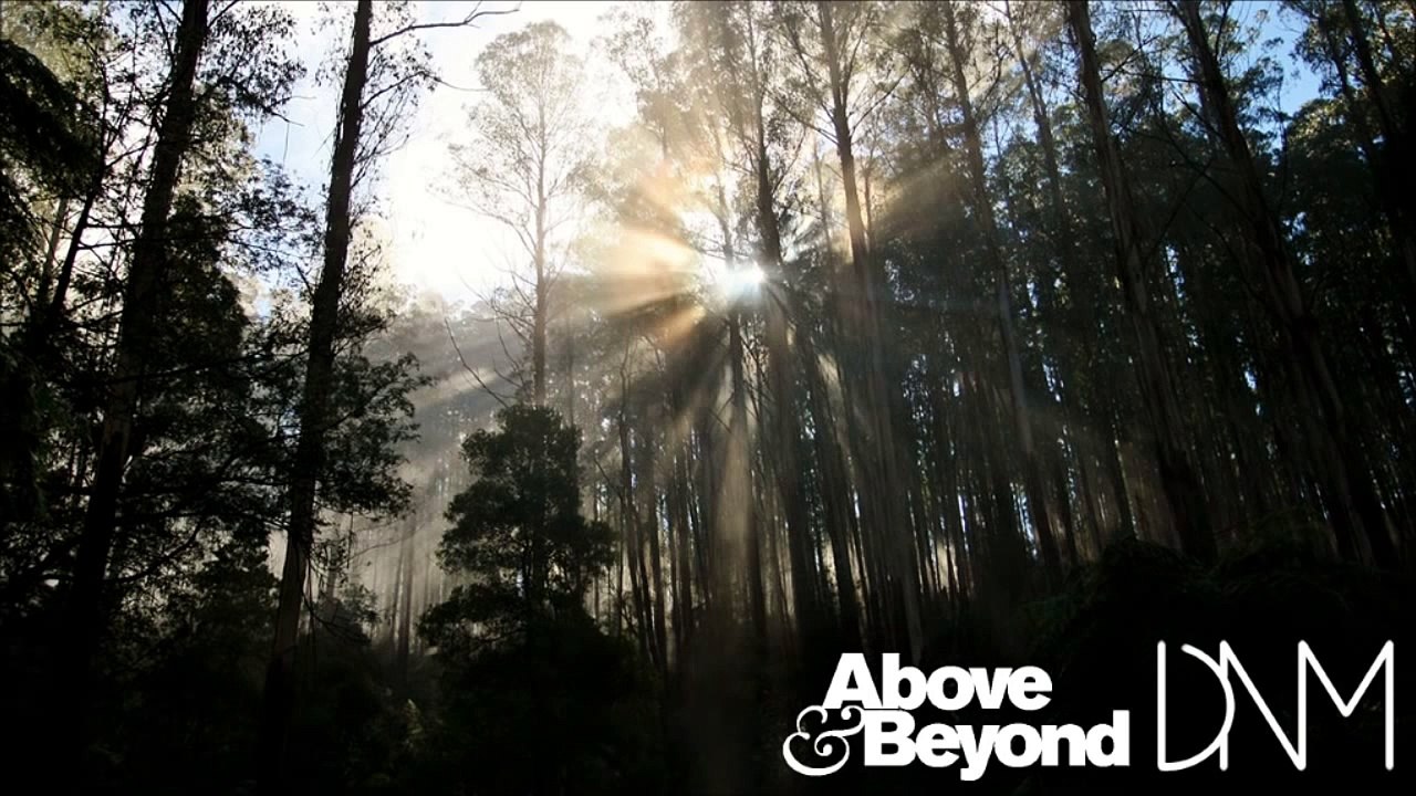Above & Beyond feat. Richard Bedford remixed by DNM - Sun And Moon - (preview)