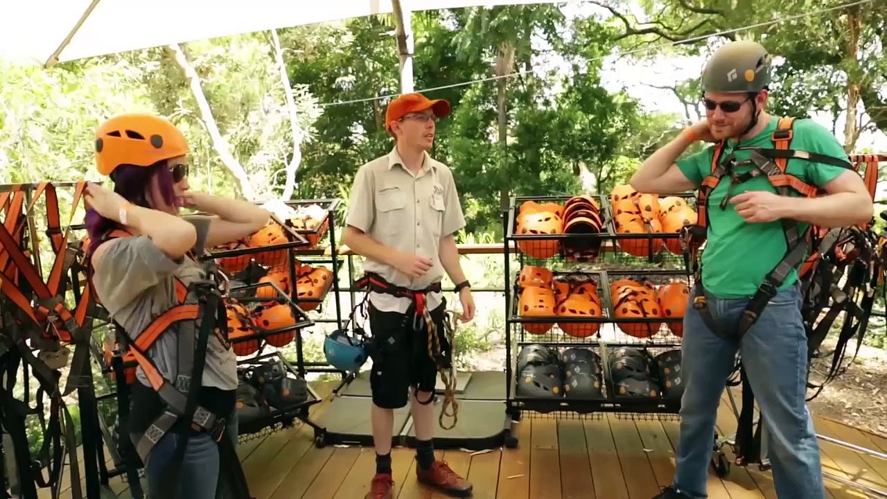 Koala Craziness - Free Play #40